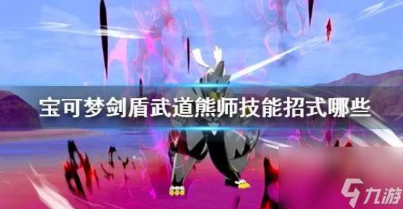 武道熊师简介