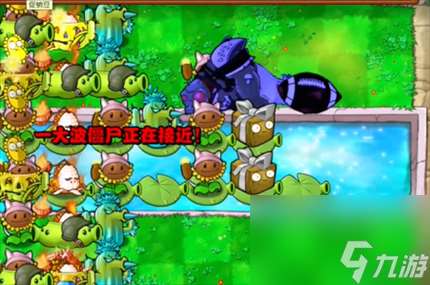 《pvz杂交版》英雄模式戴夫的威胁通关详解