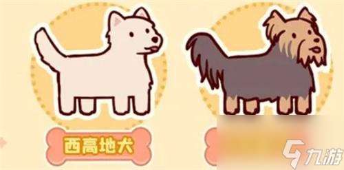 我的休閑時光狗狗怎么獲得