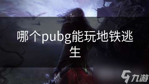 哪个pubg能玩地铁逃生