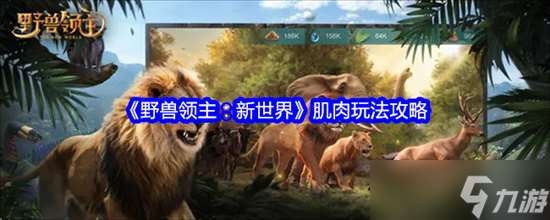 野獸領主新世界什么是肌肉玩法 野獸領主新世界肌肉玩法大全介紹2025