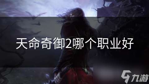 天命奇御2哪個職業好