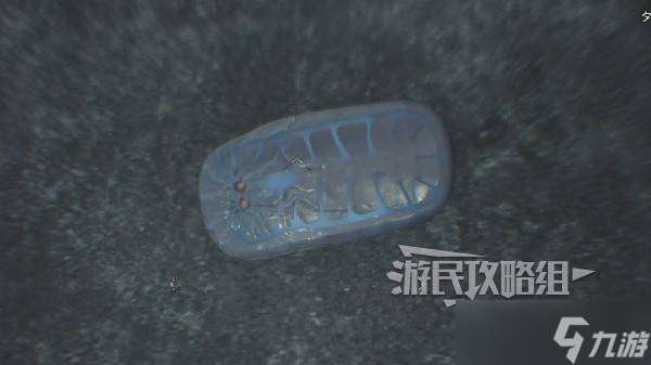 怪物獵人荒野大虛無動在哪 捕獲大虛無動位置及方法