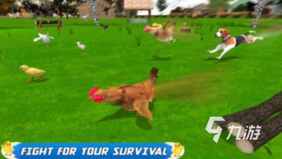 火爆的母鸡下蛋游戏有哪些流行的母鸡下蛋手游推荐2025