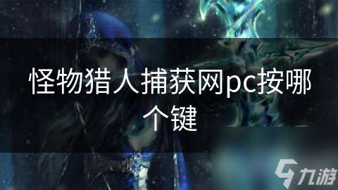 怪物猎人捕获网pc按哪个键