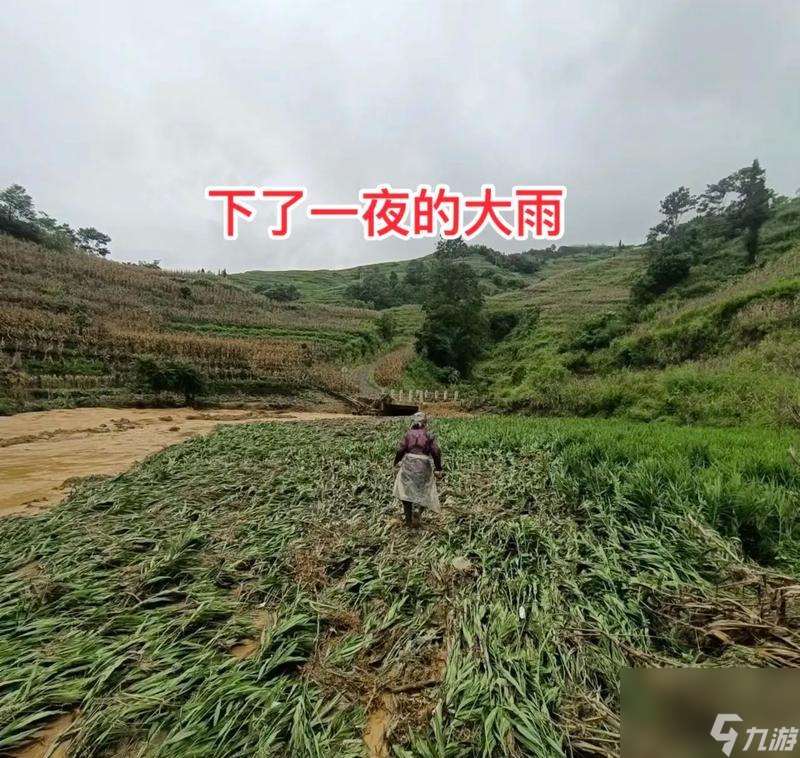 金墾小鎮(zhèn)怎么種地？有哪些高效種植技巧？