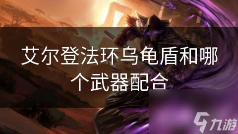 艾尔登法环乌龟盾和哪个武器配合