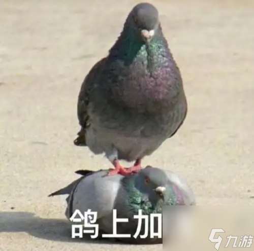 打槍和妹妹全都要！這次的《PUBG》又整了什么新活兒？
