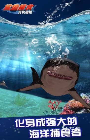 有趣的鯊魚進化游戲大全 2025經典的鯊魚進化游戲下載推薦