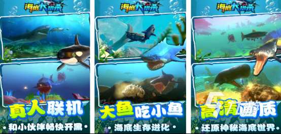 流行的吞食鱼游戏有哪些火爆的鱼吃鱼手游下载分享2025