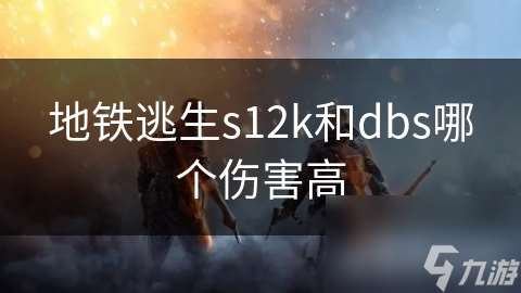 地鐵逃生s12k和dbs哪個傷害高