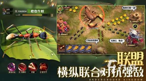受欢迎的蚂蚁手游有哪些 2025人气较高的蚂蚁游戏大全