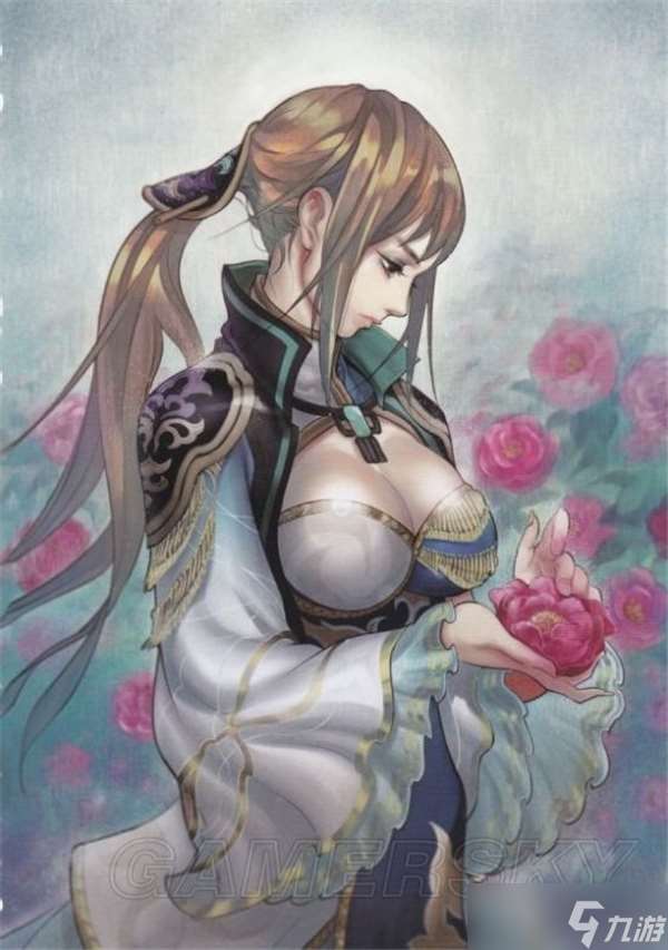 真三國無雙6慧眼的美姬王元姬介紹
