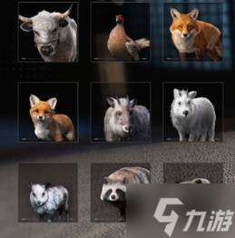 《刺客信条影》宠物全收集攻略 宠物怎么获得