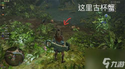 怪物猎人荒野特产采集路线分享 怪物猎人荒野特产采集路线攻略