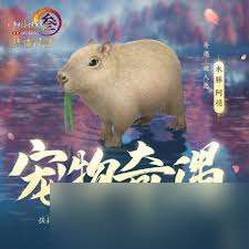 剑网3太极秘录新增了哪些宠物奇遇