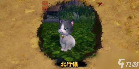 剑网3普通奇遇攻略大全