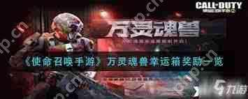 使命召喚幸運箱保底多少錢