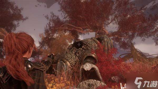 《光与影33号远征队》眼眸岛解谜攻略 眼眸岛眼球位置分享