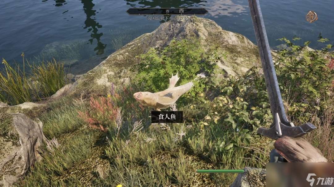 《上古卷轴4：湮灭重制版》任务避坑指南分享