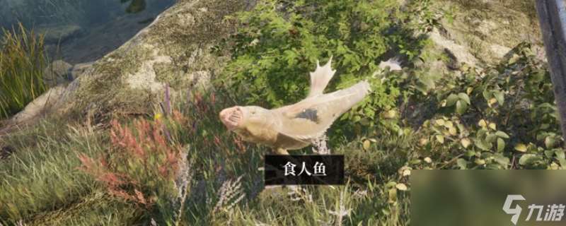 《上古卷轴4：湮灭重制版》任务避坑指南分享