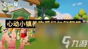 心動小鎮如何解鎖養狗愛好