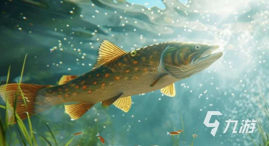 狂热钓鱼下载方法详解 狂热钓鱼预约地址一览