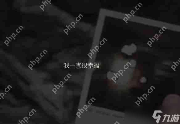 寂靜嶺2重制版奇怪照片收集攻略