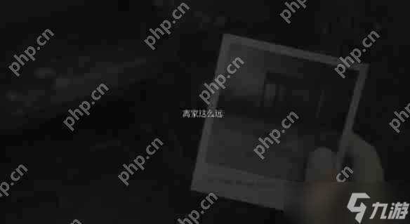 寂靜嶺2重制版奇怪照片收集攻略