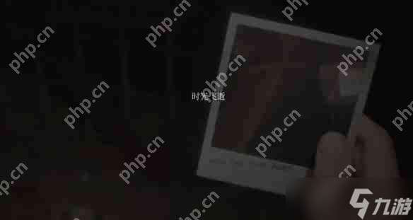 寂靜嶺2重制版奇怪照片收集攻略
