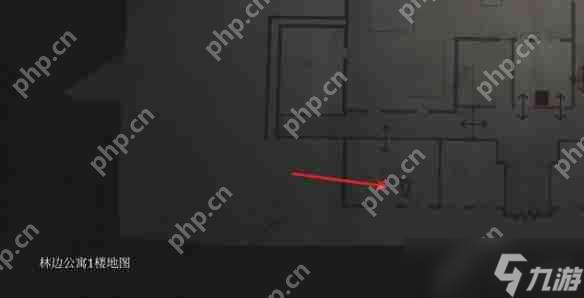 寂靜嶺2重制版奇怪照片收集攻略