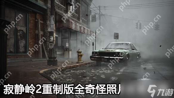 寂靜嶺2重制版奇怪照片收集攻略
