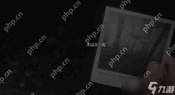 寂靜嶺2重制版奇怪照片收集攻略