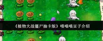 植物大戰僵尸抽卡版中喵喵喵豆子是誰