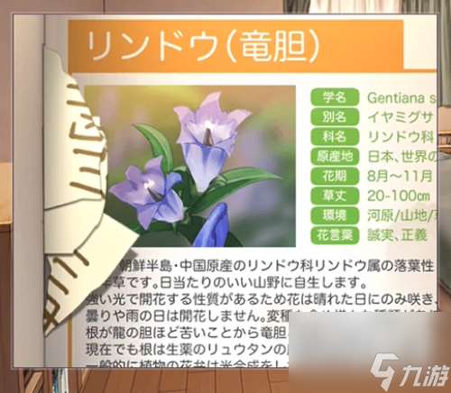 彼岸花第三章圖文攻略大全 彼岸花第三章先詳細通關攻略
