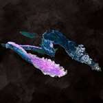 《光与影33号远征队》中文奖杯图鉴