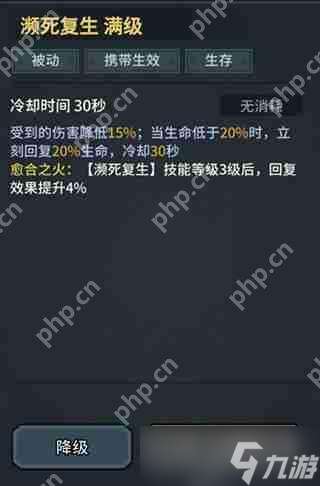 提燈與地下城魂劍士技能搭配攻略