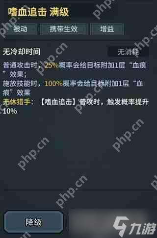提燈與地下城魂劍士技能搭配攻略