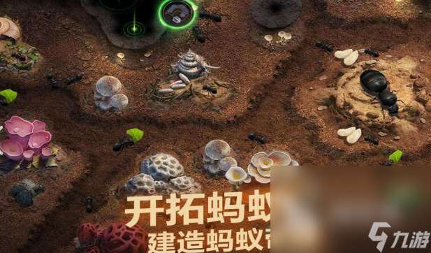 類似北境之地的手游有哪些2025 和北境之地差不多的手游一覽
