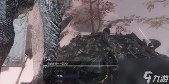 《光與影：33號(hào)遠(yuǎn)征隊(duì)》白色經(jīng)怪武斗支線攻略分享