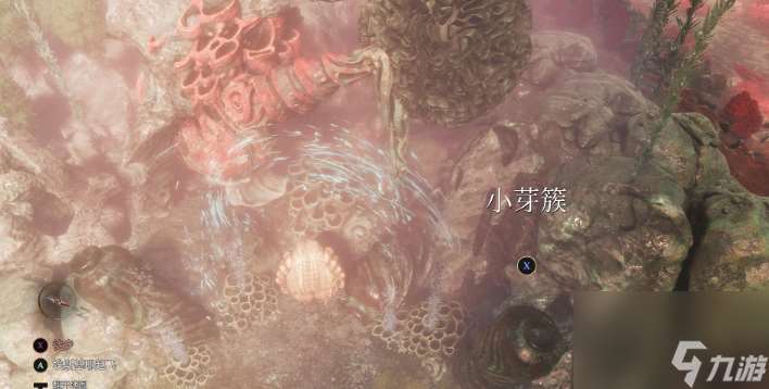 《光與影：33號遠征隊》白色經怪芽簇支線攻略分享