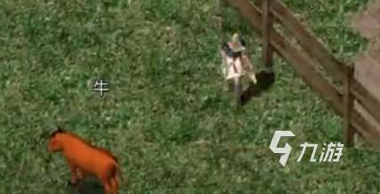 天天龙族攻略说明 天天龙族新人攻略解答