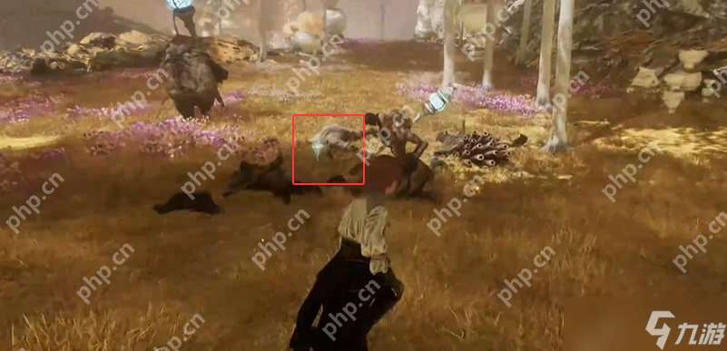 光与影33号远征队全日志收集 44号远征队日志位置