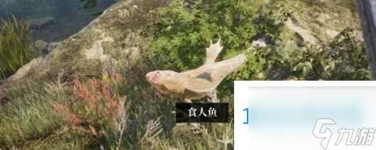 上古卷軸4湮滅重制版哪些任務要避坑