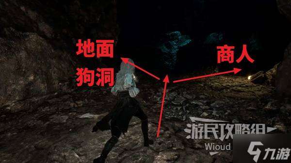 《光与影33号远征队》繁叶结获取方法 繁叶结怎么获得