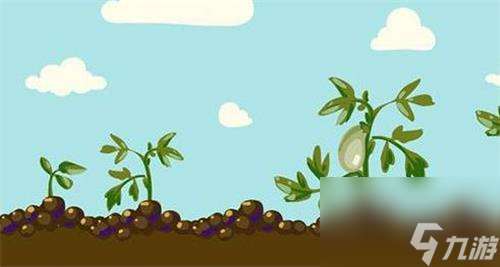 小森生活种子不发芽解决方法