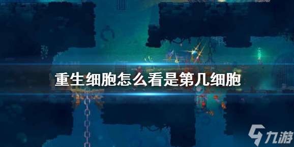 重生细胞怎么看自己是几细胞 游戏阶段查看方法