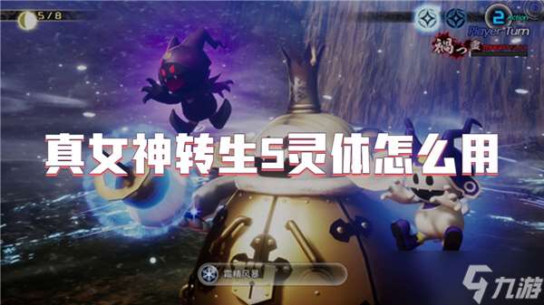 真女神转生5灵体怎么用