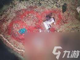 潜行者2罂粟田支线怎么完成