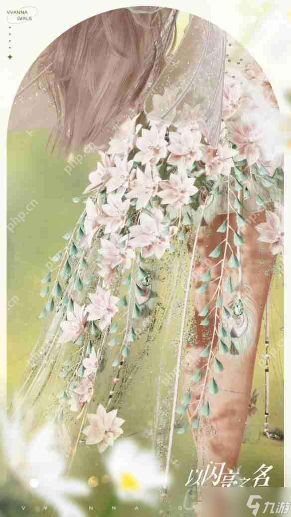 以閃亮之名夢里花落知多少套裝介紹-夢里花落知多少細節展示